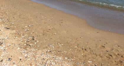 Pleasant duplex, direct access, free wifi beach