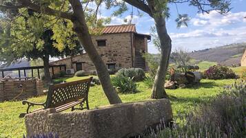 A stone bench under a tree, a stone building, and a grassy area with lavender.