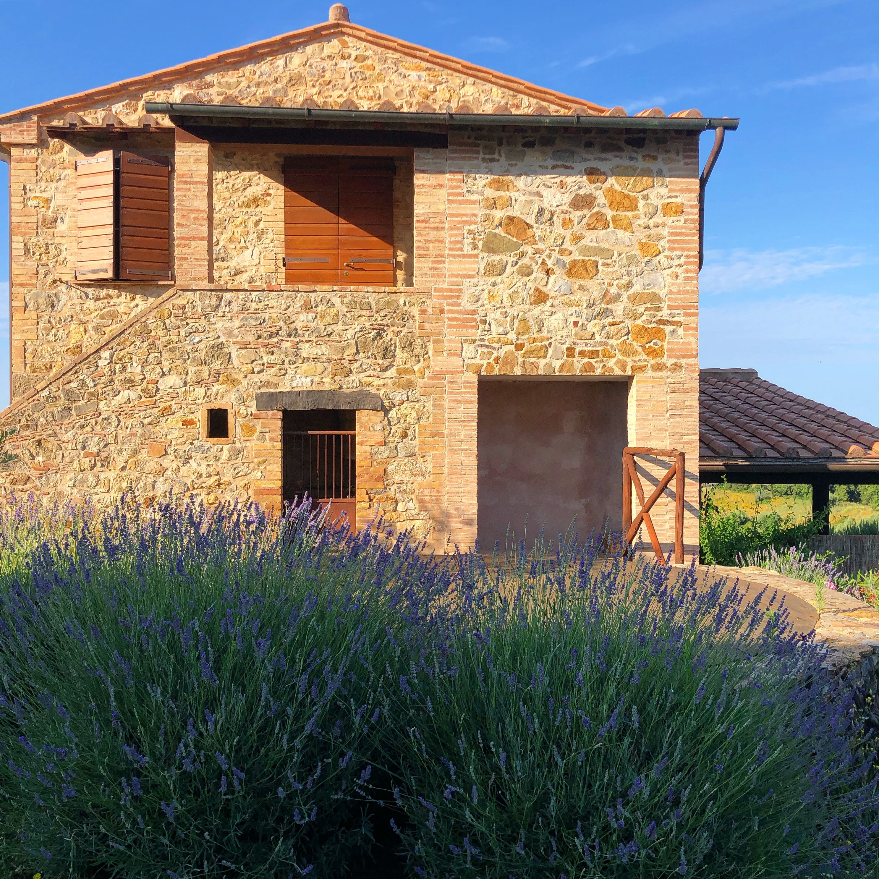 Un edificio de piedra con puerta y contraventanas de madera, rodeado de campos de lavanda.