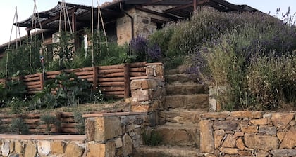 Agriturismo Poggio Monte