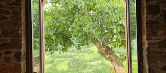 Agriturismo Poggio Monte