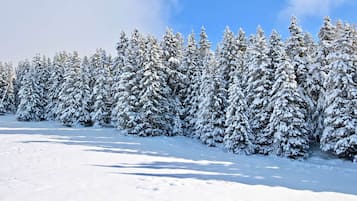 Sneeuw- en skisporten