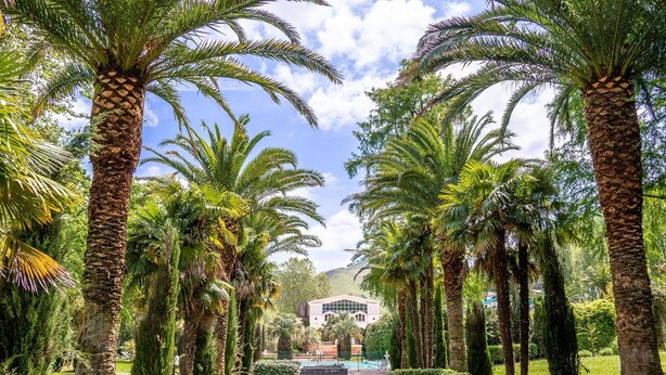A pathway lined with palm trees leading to a building with a modern architectural design. - Charming T2 apartment in Cambo, city center, small terrace, Internet, pets allowed (Cambo-les-Bains)
