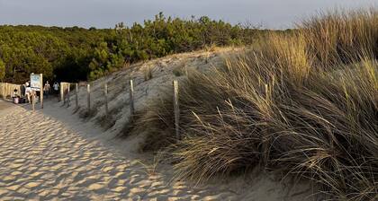 Cottage avec piscine chauffĂ© au calme de la forĂȘt