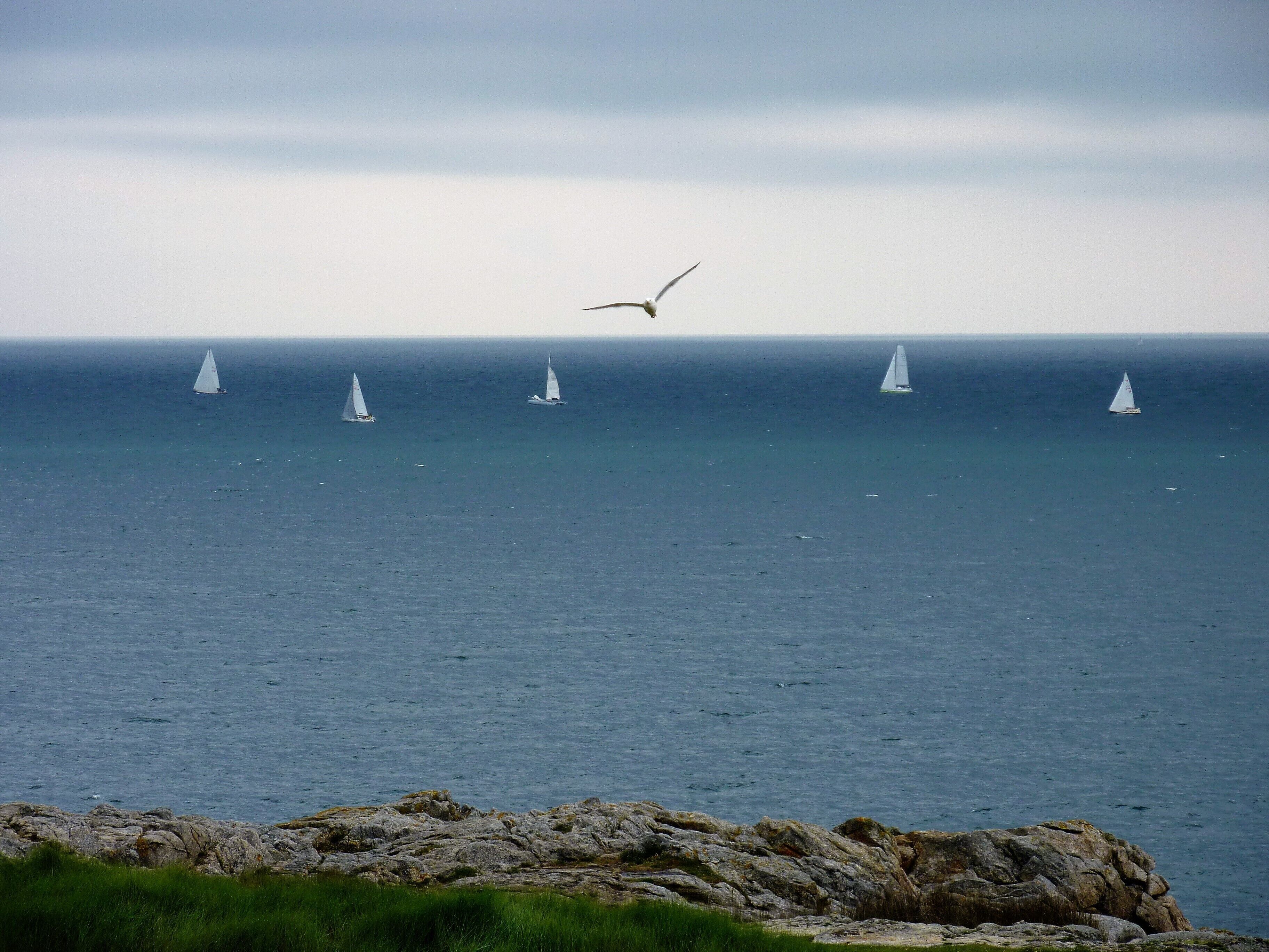A coastal view with rocky shoreline and sailboats on the water.