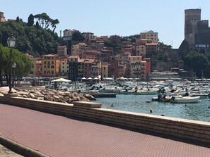 Marina - #1 Cinque Terre, Tuscany, Liguria, Lerici (Liguria)