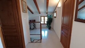A hallway with wooden doors, a staircase, and a potted plant.
