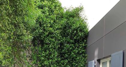 appartement de standing