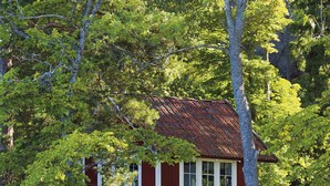 A small, red wooden house with white trim, surrounded by lush greenery and trees. - Seaside century house with beautiful sunset and big jetty with sauna  (ljusterö)