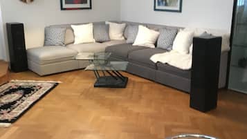 Smart TV, DVD player, books, video library