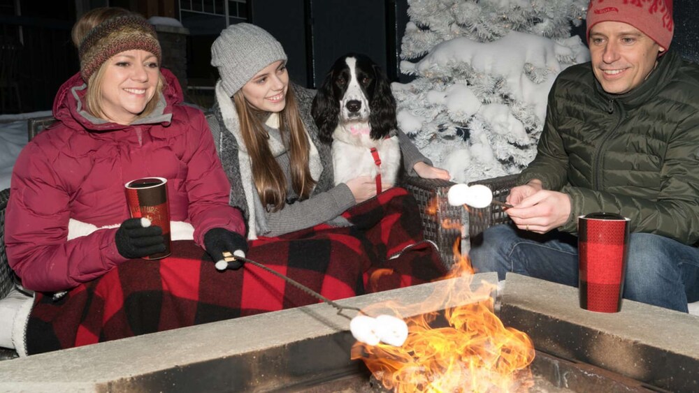 Canmore Copperstone 2 Bedroom 2202 Dead Man's Flats Vrbo