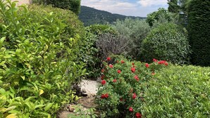 A garden with various plants and a stone pathway. - Beautiful Villa, big pool,  overlooking valley, walking distance to town.  (Seillans)