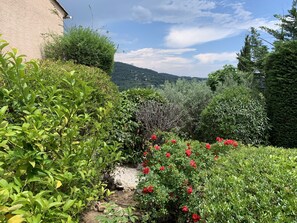 Property grounds - Beautiful Villa, big pool, overlooking valley, walking distance to town. (Seillans)