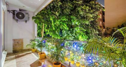 Lime Tree Luxury Studio