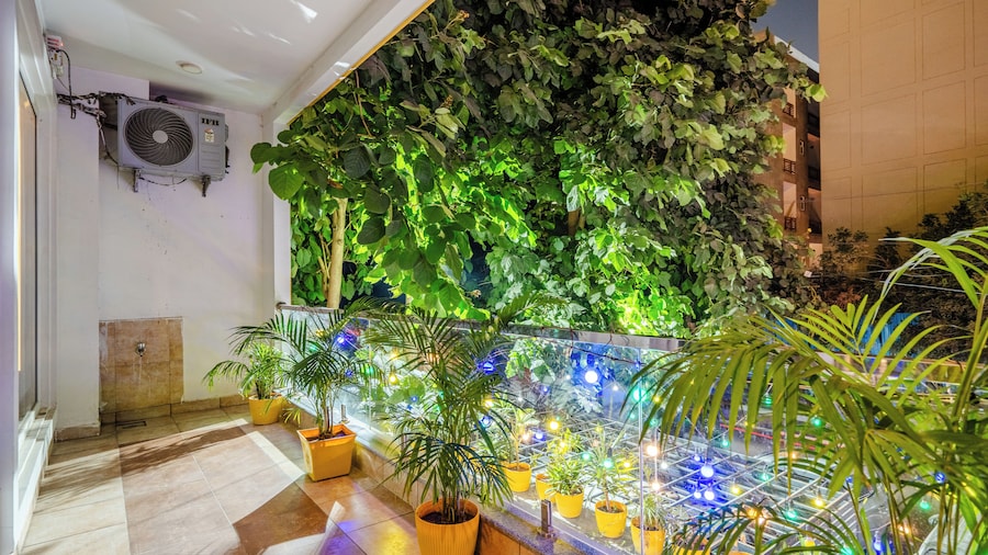 Lime Tree Luxury Studio