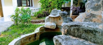 Amazing villa near the beach