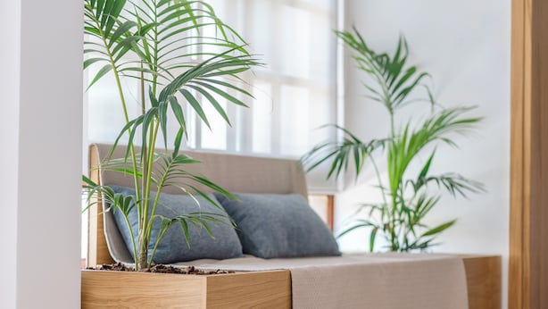 Een gezellige zithoek met een houten bank en een zacht beklede bank, omgeven door plantenpotten.