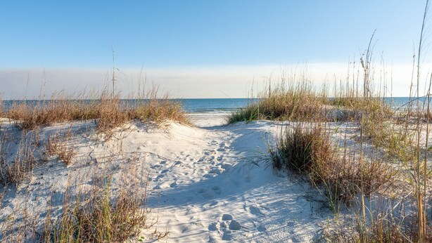 A sandy beach path leading to the ocean, surrounded by tall grasses. - (4 Minute Walk to Beach) Screened in porch & MBR  on ground level (Cape San Blas)