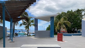 A waterfront promenade with a covered seating area, palm trees, and boats docked in the background.