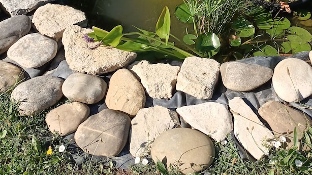 En lille sø med sten og beplantning hele vejen rundt.