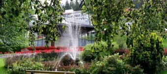 Black Forest Style- Sauna, Pool, Massagesessel