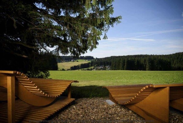 Property grounds - living TIMELESS: Black Forest Style Schönwald (Schönwald im Schwarzwald)