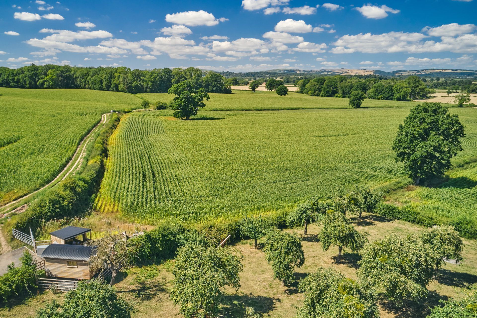 Une vue aérienne d’un paysage rural, avec des champs, des arbres et une petite construction en bois.