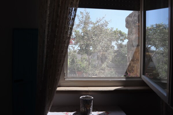 A window with a view of trees and a rock formation outside.