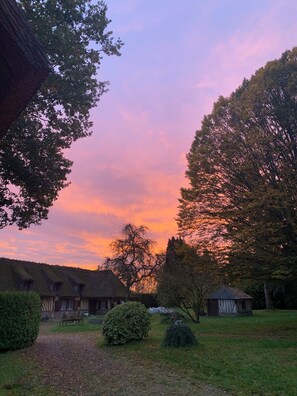 Udendørsområde