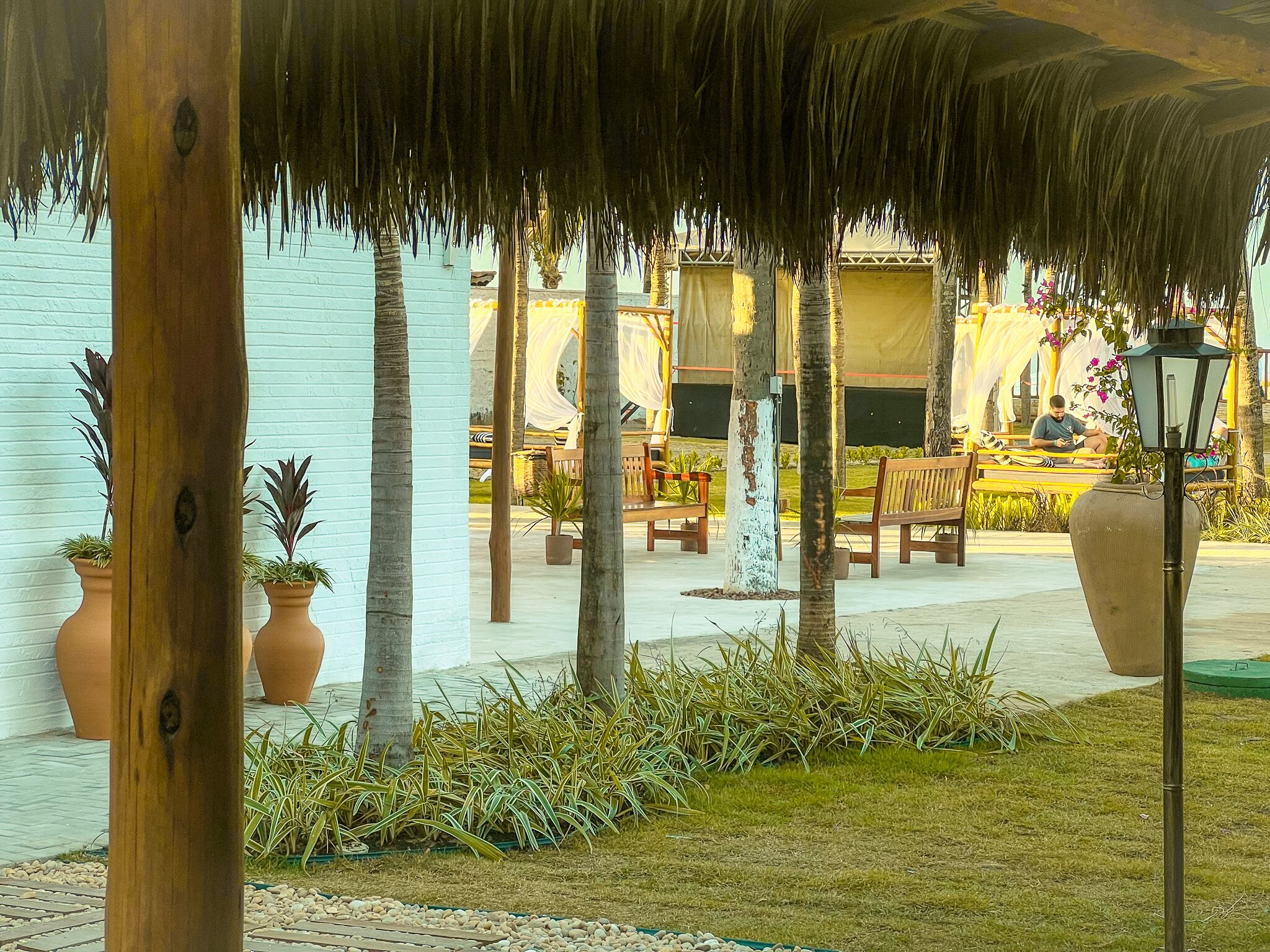 A covered outdoor seating area with wooden benches and tables, surrounded by palm trees and potted plants.