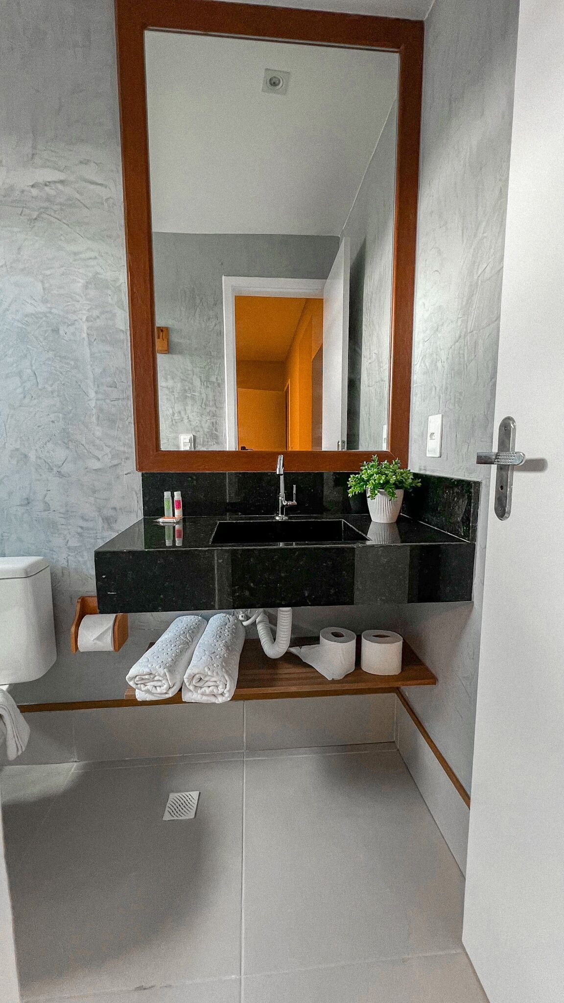 Un baño con un espejo grande, encimera negra y una planta en maceta.