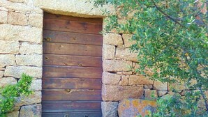 A rustic stone wall with a wooden door and a large potted plant. - House 8 persons 4 rooms (Coti-Chiavari)