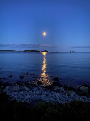 Sun-loungers, beach towels - Stunning Ocean Front cottage, minutes from the beach (bayswater)