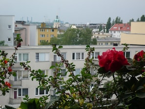 A residential building with multiple balconies and a prominent red flower in the foreground.