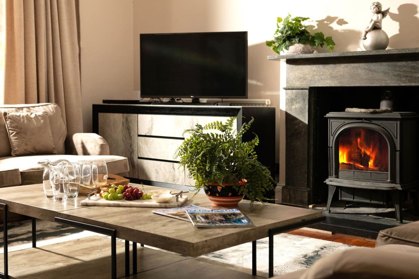 A living room with a fireplace, a television, a coffee table with a plant, and a sofa.