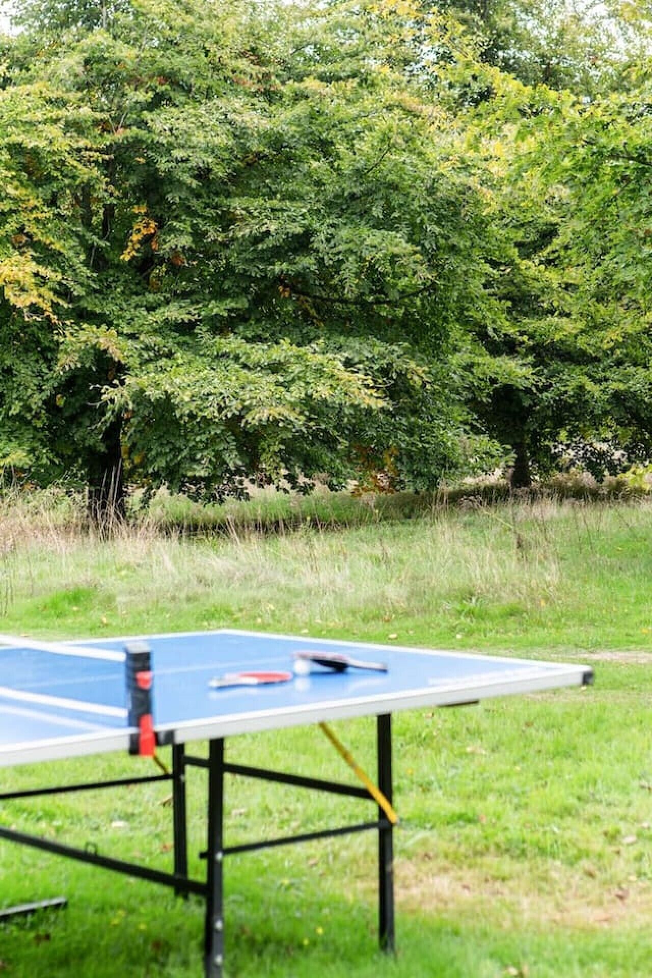 Une table de ping-pong installée à l’extérieur, avec une pelouse et des arbres en arrière-plan.