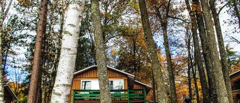 A cabin surrounded by tall trees with a wooden deck and a small porch area.