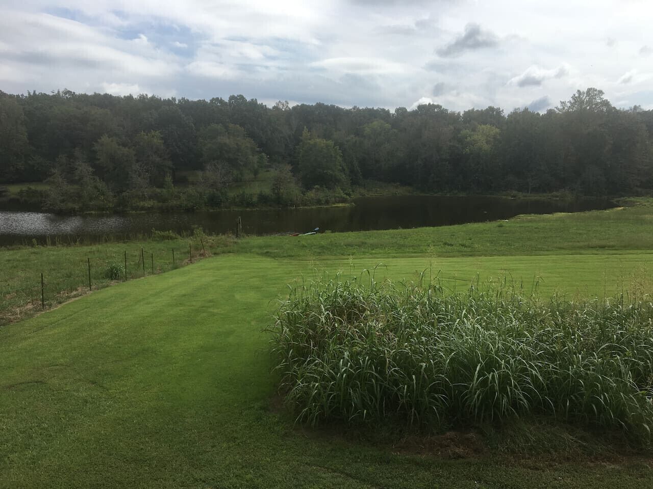 A grassy field with a pond and dense forest in the background.