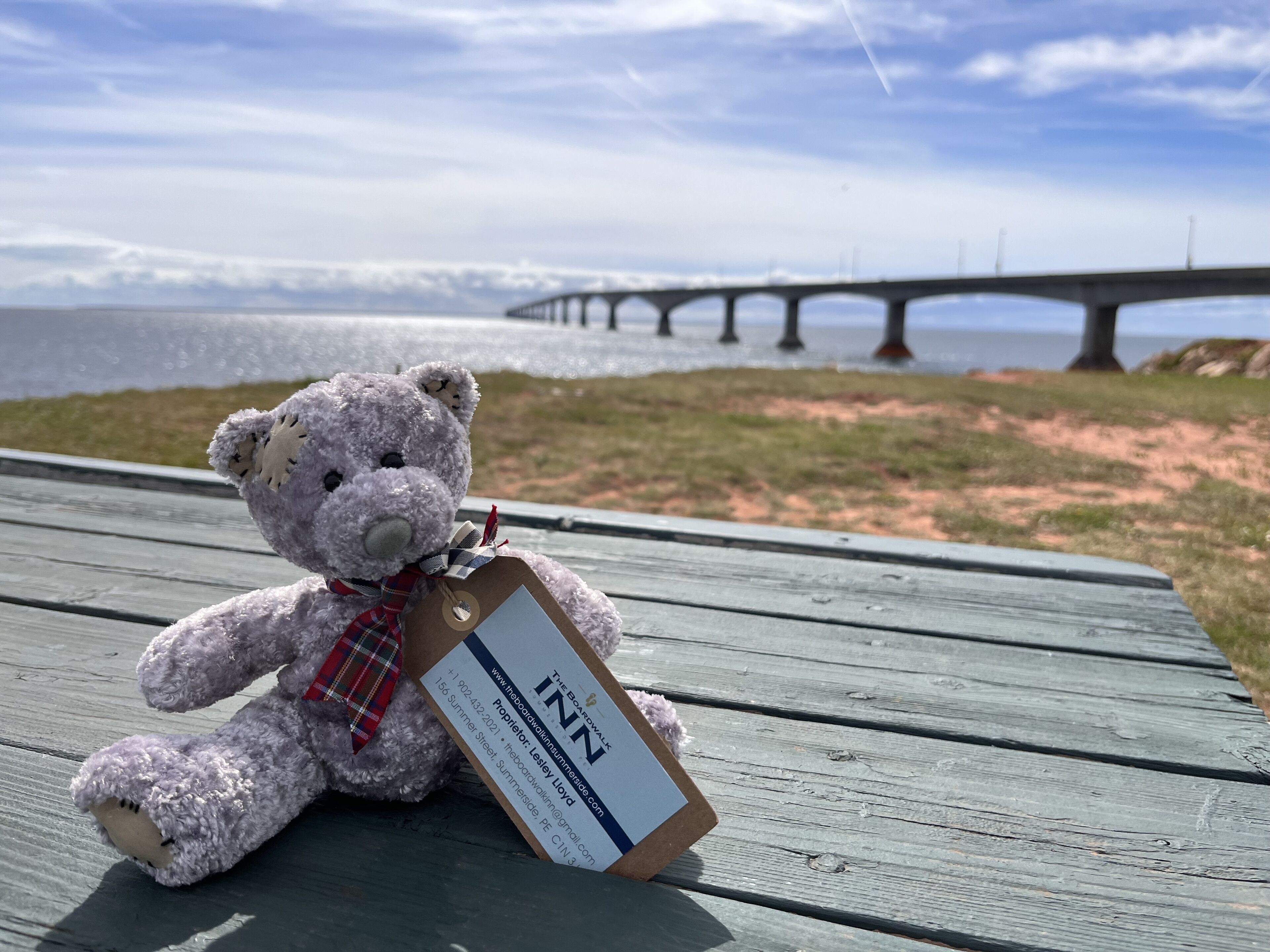 Un osito de peluche en un banco de madera con una etiqueta, con vistas a una zona costera que incluye un puente al fondo.