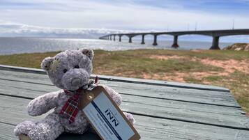 Un osito de peluche en un banco de madera con una etiqueta, con vistas a una zona costera que incluye un puente al fondo.