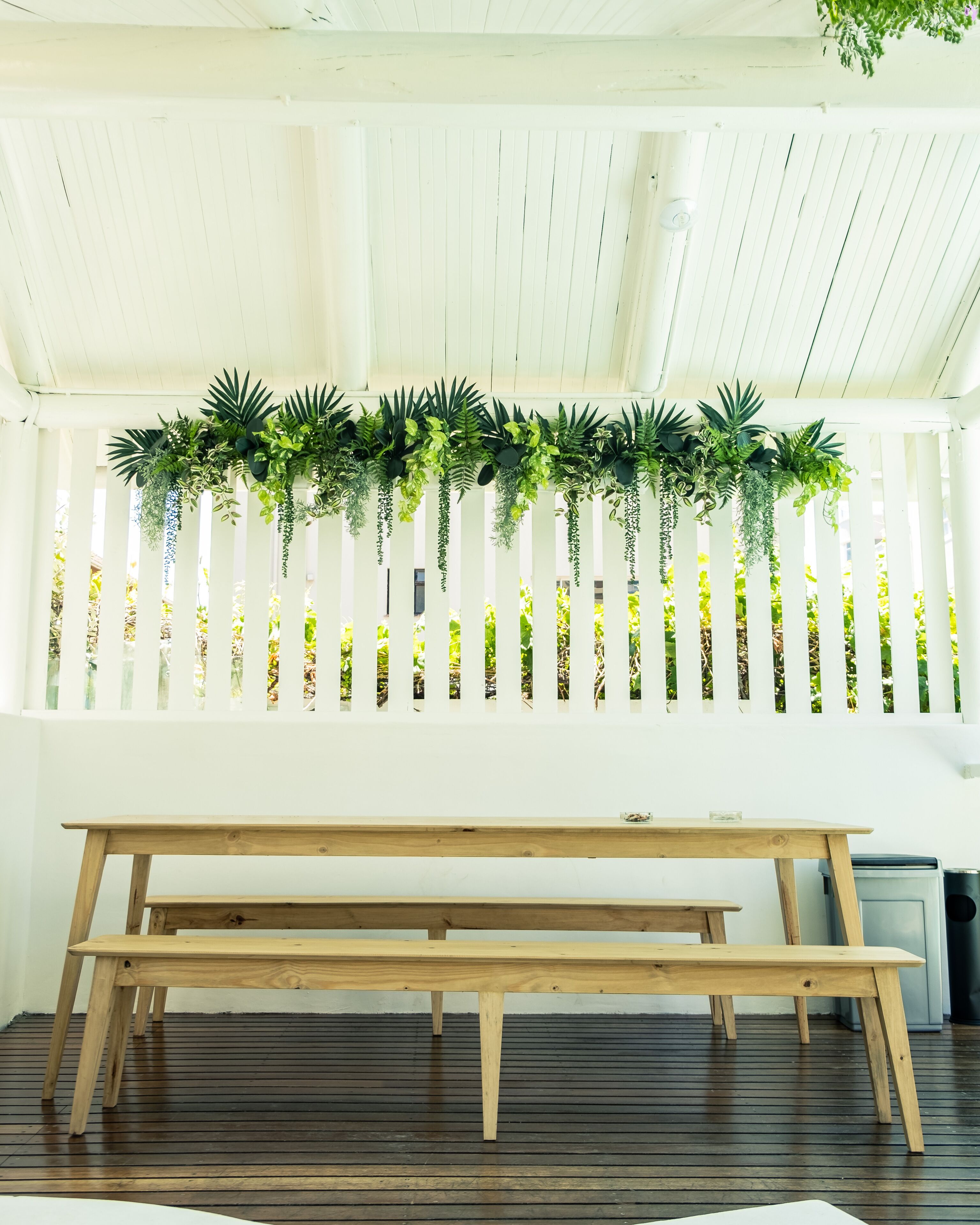 Un banc en bois placé sous un plafond blanc, avec une plante suspendue en guise de décoration.