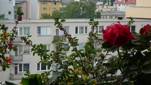 Um edifício residencial com várias varandas e uma flor vermelha em destaque ao primeiro plano.