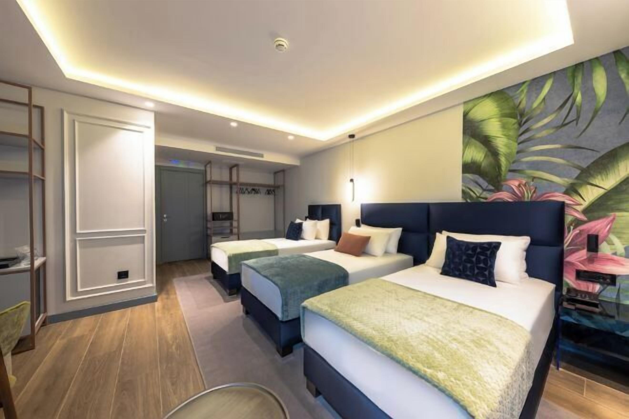 Roupas de cama premium, edredons de pluma, camas Select Comfort