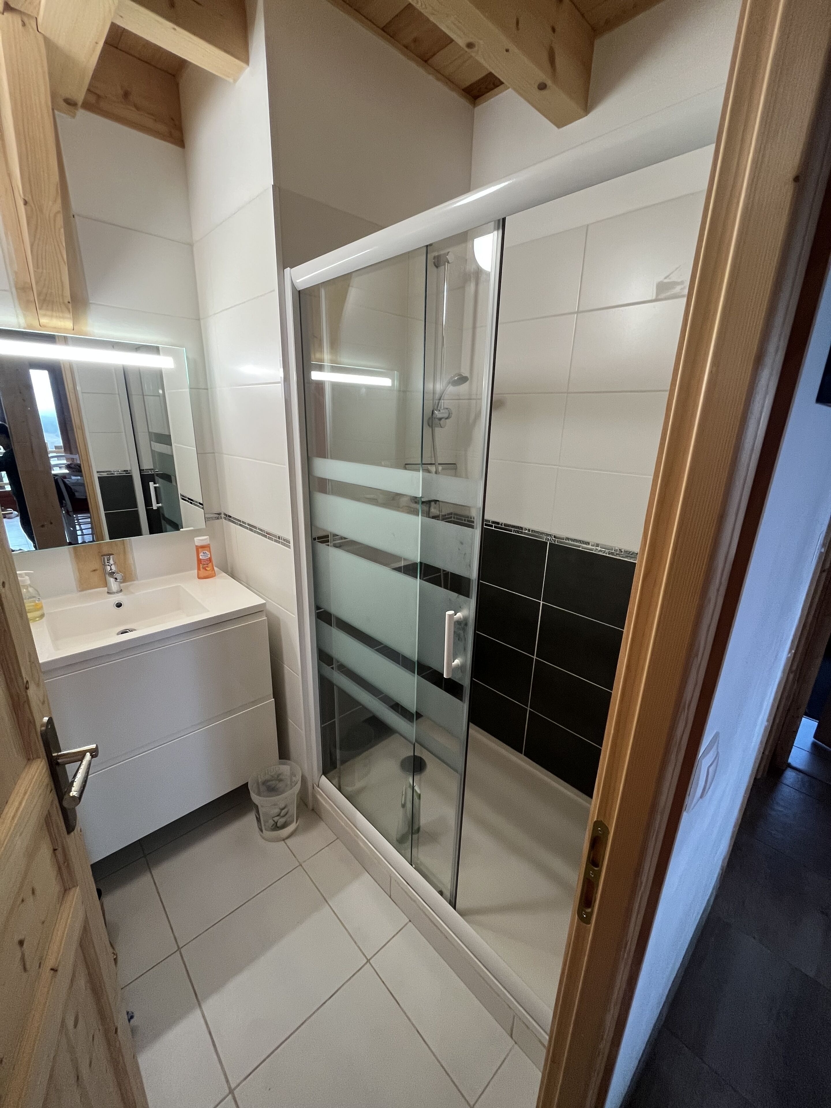 Une salle de bain avec une douche à parois de verre, un lavabo blanc et un miroir au-dessus du lavabo.