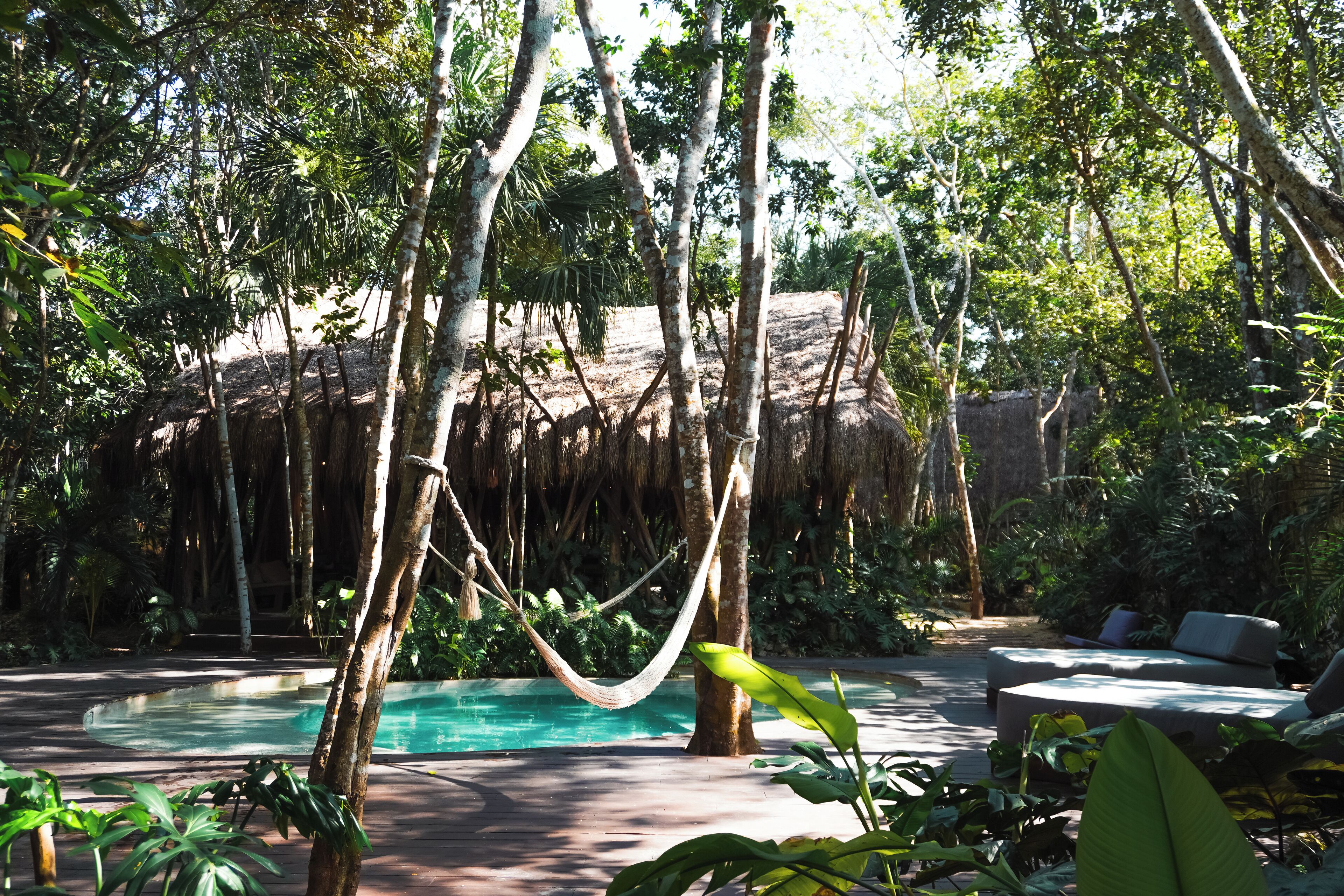 A pool area surrounded by lush greenery and trees, with a hammock and lounge chairs.