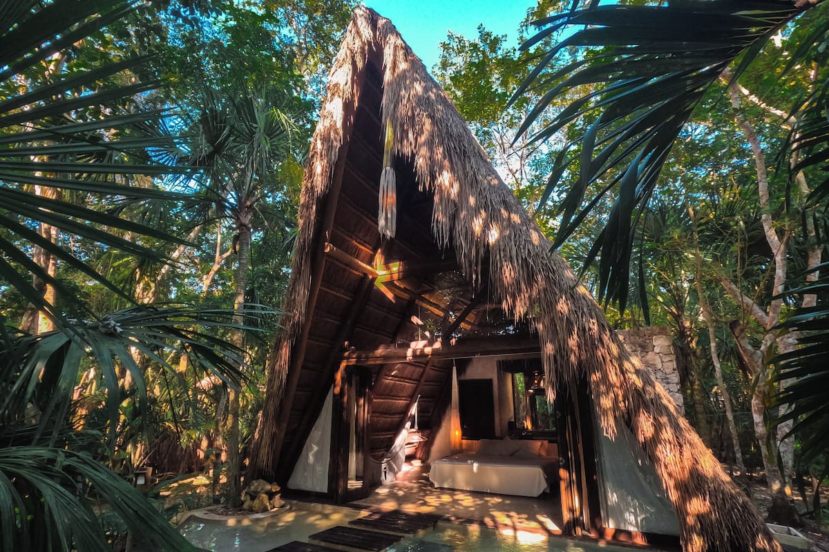 Une structure à toit de chaume, dotée d’une piscine et d’un lit, entourée d’une végétation tropicale.