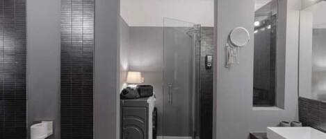 A modern bathroom with a walk-in shower, a toilet, and a sink.