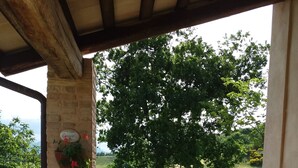 En patio med et rundt bord og fire stole, en stensøjle med en blomsterkasse, og udsigt over et græsareal med træer og en bænk.