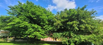 Una posada medieval llena de encanto en la naturaleza de las montañas de Toscana