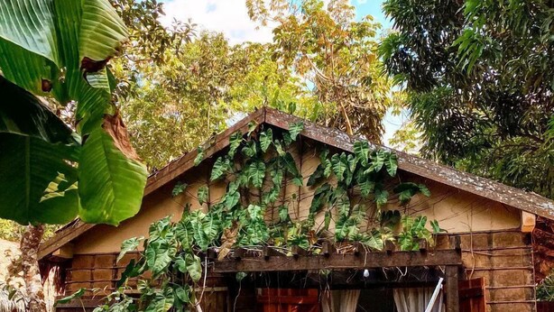A rustic wooden cabin with a hammock hanging in front. - Pousada alter (Santarém)